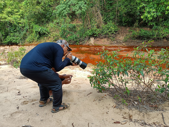 Capturing Meghalaya's Beauty - Guest at Sarangdu Homestay Photographing Scenic Views