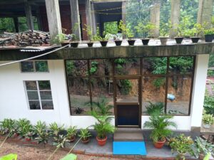 Sarangdu Homestay Baghmara - A Tranquil Retreat in Meghalaya's South Garo Hills