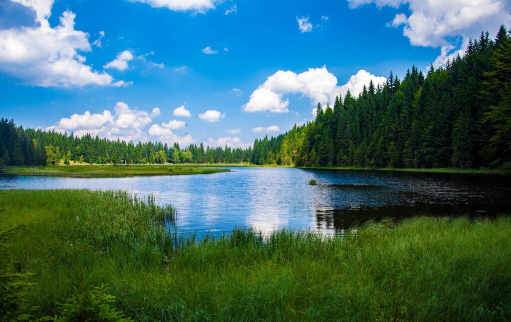 Serene nature surrounding Sarangdu Homestay.